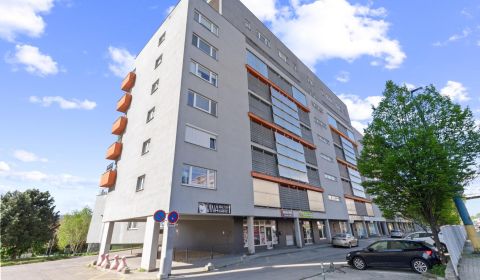 Sale One bedroom apartment, One bedroom apartment, Majerníkova, Bratis