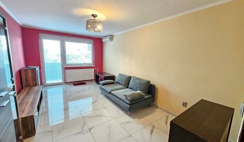 Rent Two bedroom apartment, Two bedroom apartment, Jelenecká, Nitra, S