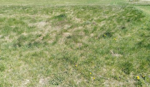 Sale Land – for living, Land – for living, Martin, Slovakia
