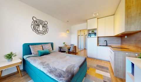 Rent Studio, Studio, Fialová, Bratislava - Petržalka, Slovakia
