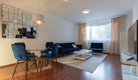 Spacious 1-bedroom apartment, Ružinov