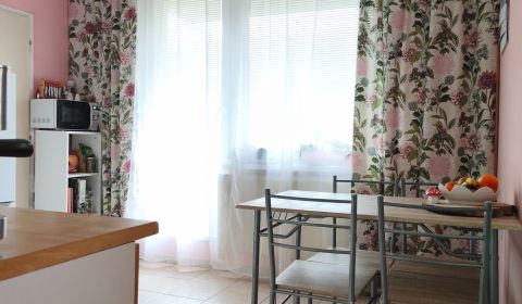 Sale One bedroom apartment, One bedroom apartment, Hlboká, Nitra, Slov