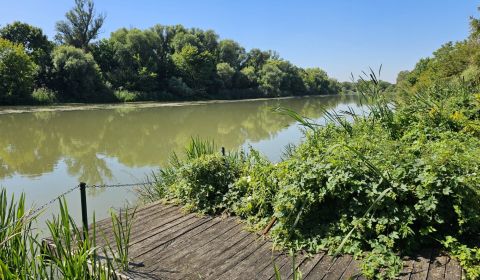 Sale Land – for living, Land – for living, Senec, Slovakia