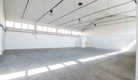 Rent Storehouses and Workshops, Storehouses and Workshops, Coburgova, 