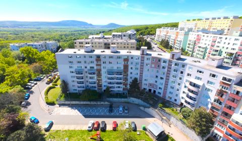Sale One bedroom apartment, One bedroom apartment, Hlaváčikova, Bratis