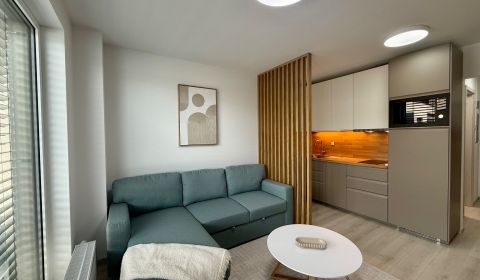 Rent Studio, Studio, Zimná, Trnava, Slovakia