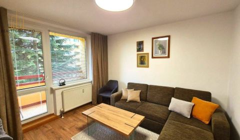 Rent One bedroom apartment, One bedroom apartment, Matice Slovenskej, 