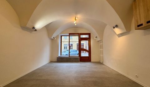 Rent Commercial premises, Commercial premises, Mäsiarska, Košice - Sta