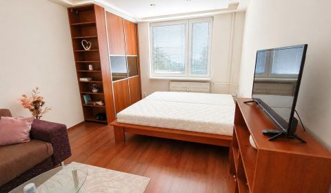 Rent Studio, Studio, Mudrochova, Senica, Slovakia