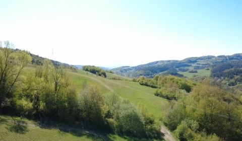 Sale Agrarian and forest land, Agrarian and forest land, Záriečie, Púc