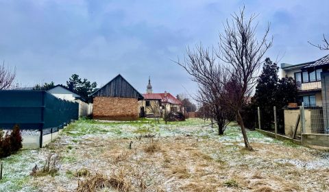 Sale Family house, Family house, Hlohovec, Slovakia