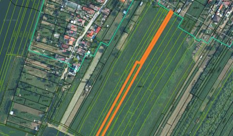 Sale Agrarian and forest land, Agrarian and forest land, Pezinok, Slov