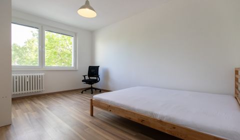 Renovated 2-bedroom apartment, Ružinov