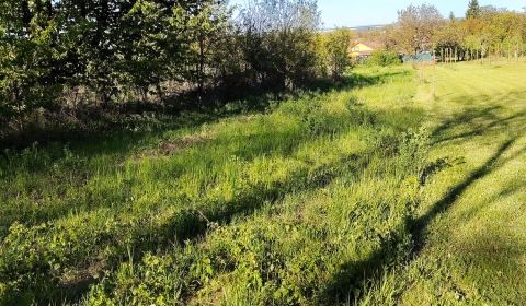 Sale Recreational land, Recreational land, Nitra, Slovakia