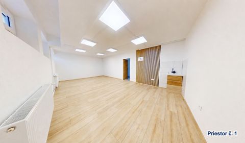 Rent Commercial premises, Commercial premises, Škultétyho, Topoľčany, 