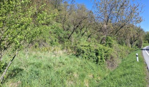 Sale Land – for living, Land – for living, Lučenec, Slovakia