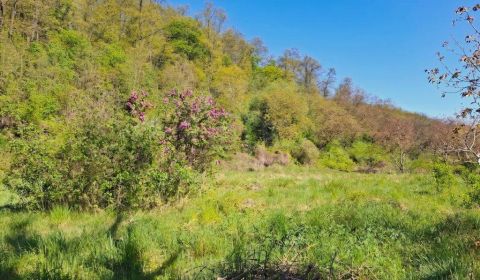 Sale Land – for living, Land – for living, Lučenec, Slovakia
