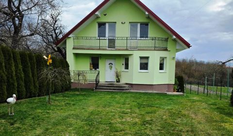 Sale Family house, Family house, Michalovce, Slovakia