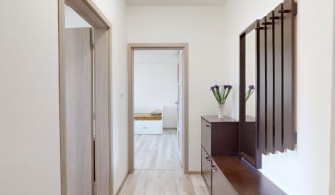 Sale One bedroom apartment, One bedroom apartment, Pred poľom, Trenčín