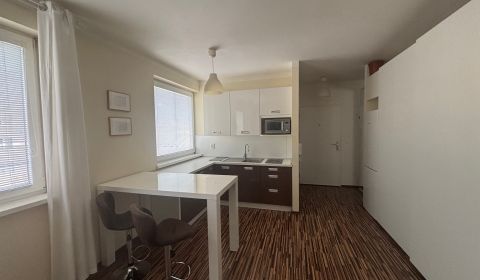 Rent Studio, Studio, Silvánová, Pezinok, Slovakia