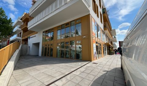 Rent One bedroom apartment, One bedroom apartment, Piaristická, Nitra,