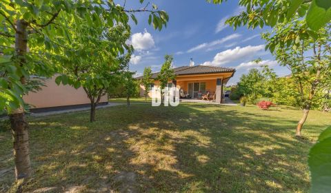 Sale Family house, Family house, Kvetoslavov, Dunajská Streda, Slovaki