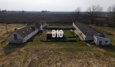 Sale Production premises, Production premises, Levice, Slovakia