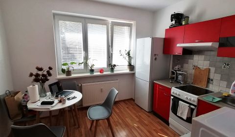 Sale Studio, Studio, Záborského, Martin, Slovakia