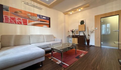 FOR RENT - 1-bedroom apartment near Medical Garden, Cukrová ul.