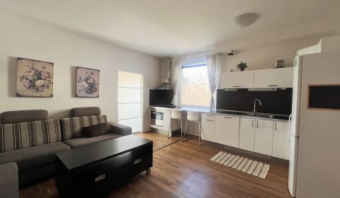 Rent One bedroom apartment, One bedroom apartment, Stromová, Bratislav