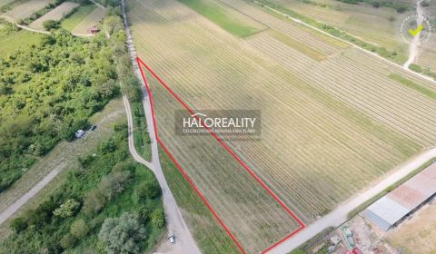 Sale Land – for living, Pezinok, Slovakia