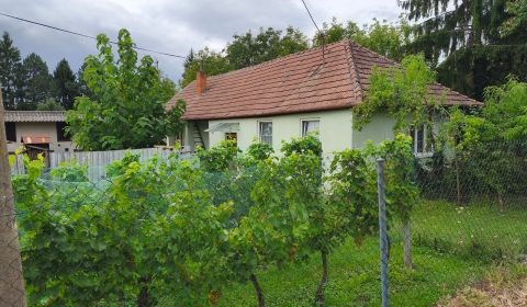 Sale Family house, Family house, Topoľčany, Slovakia