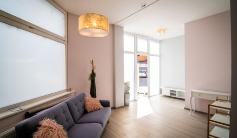 Rent Commercial premises, Commercial premises, Na hlinách, Trnava, Slo