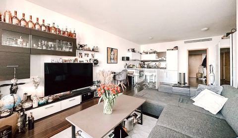 Rent One bedroom apartment, One bedroom apartment, Kopčianska, Bratisl