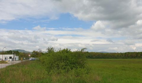 Sale Agrarian and forest land, Agrarian and forest land, Pezinok, Slov