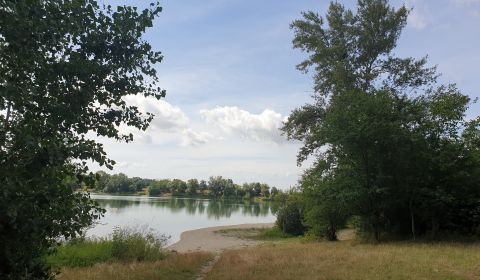 Sale Agrarian and forest land, Agrarian and forest land, Hviezdoslavov