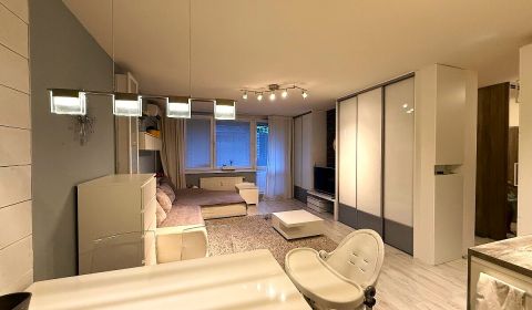 Rent One bedroom apartment, One bedroom apartment, Tomášikova, Bratisl