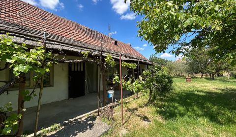 Sale Cottage, Cottage, Šaľa, Slovakia