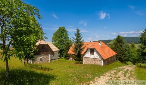Sale Family house, Family house, Lučenec, Slovakia