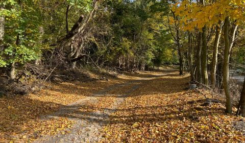 Sale Land – for living, Land – for living, Borinka, Malacky, Slovakia