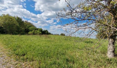 Sale Land – for living, Land – for living, Nitra, Slovakia