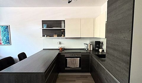 Rent One bedroom apartment, One bedroom apartment, Ďumbierska, Bratisl
