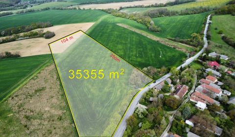 Sale Agrarian and forest land, Agrarian and forest land, Grnča, Piešťa