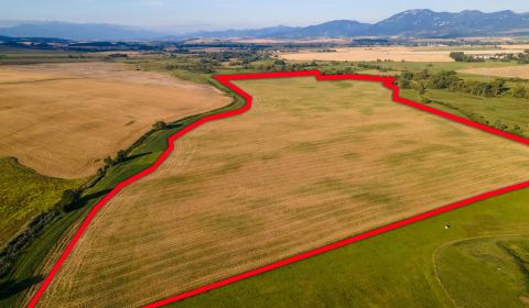Sale Agrarian and forest land, Agrarian and forest land, Turčianske Te