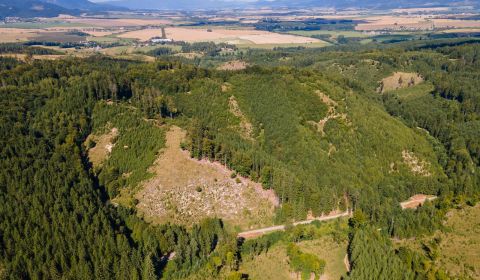 Sale Agrarian and forest land, Agrarian and forest land, Turčianske Te