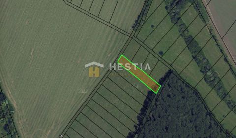 Sale Agrarian and forest land, Agrarian and forest land, Skalica, Slov