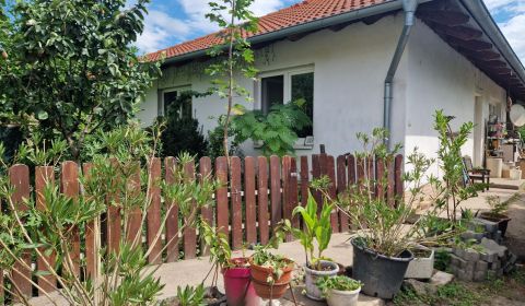 Sale Family house, Family house, Dunajská Streda, Slovakia