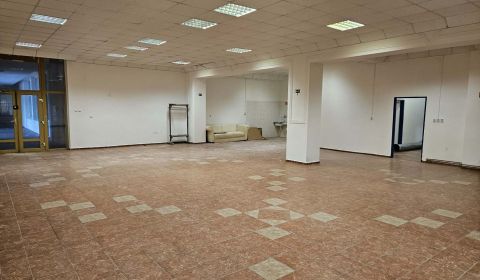 Rent Commercial premises, Commercial premises, Dunajská Streda, Slovak