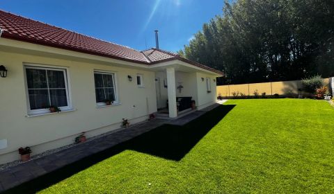 Sale Family house, Family house, Dunajská Streda, Slovakia