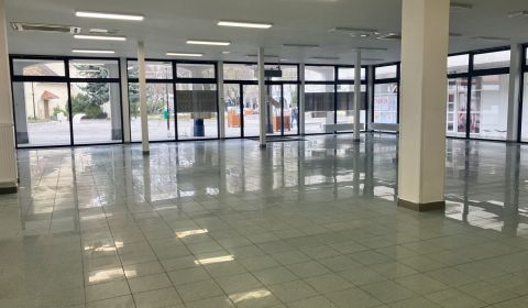 Rent Commercial premises, Commercial premises, Dunajská Streda, Slovak